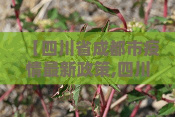 【四川省成都市疫情最新政策,四川省成都市疫情最新政策查询】