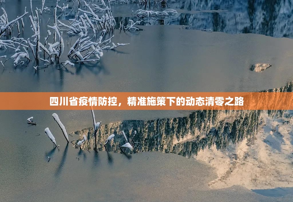 四川省疫情防控，精准施策下的动态清零之路
