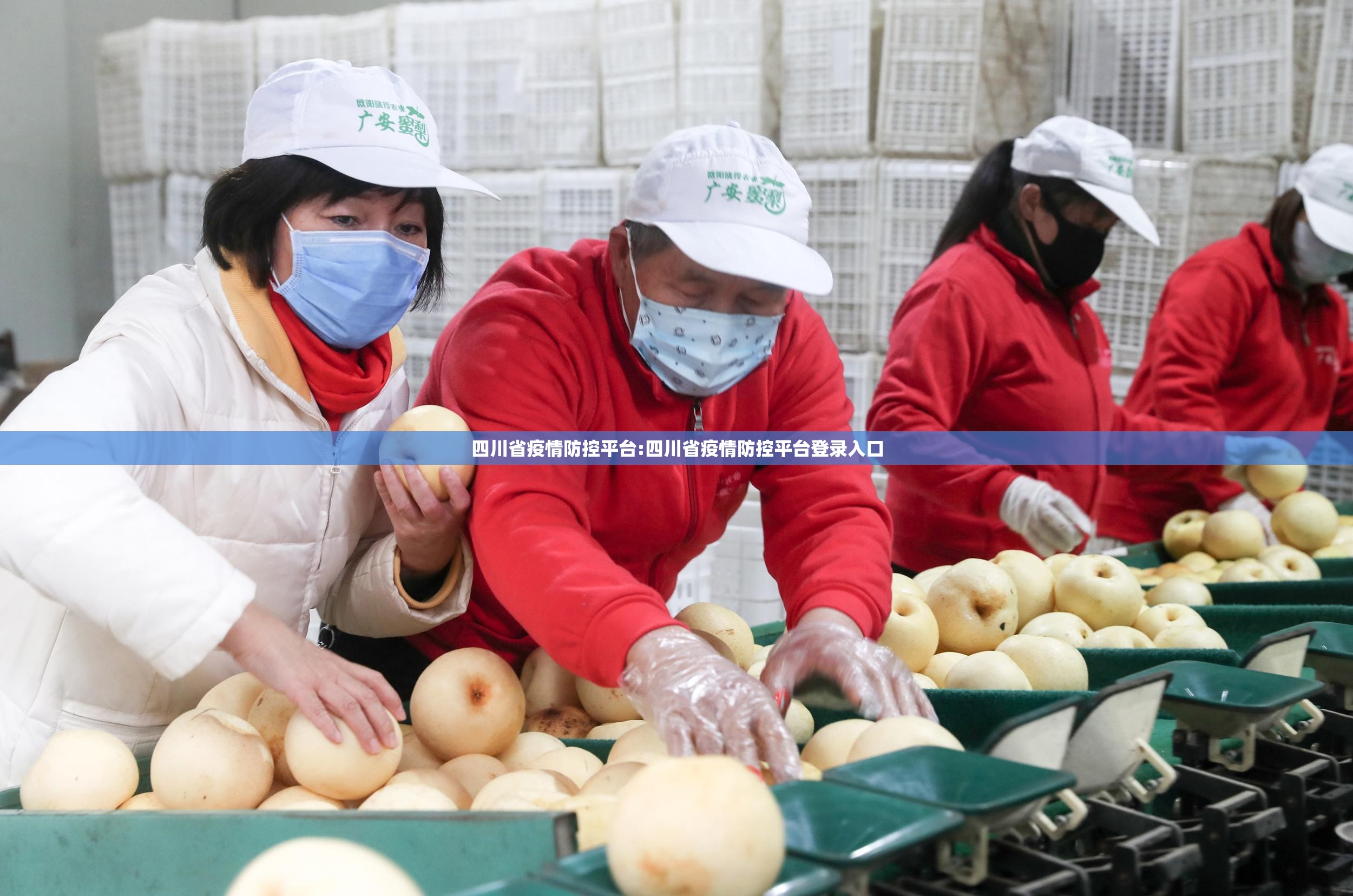 四川省疫情防控平台:四川省疫情防控平台登录入口