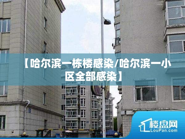 【哈尔滨一栋楼感染/哈尔滨一小区全部感染】