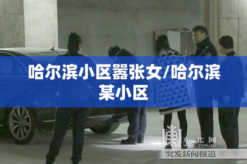 哈尔滨小区嚣张女/哈尔滨某小区
