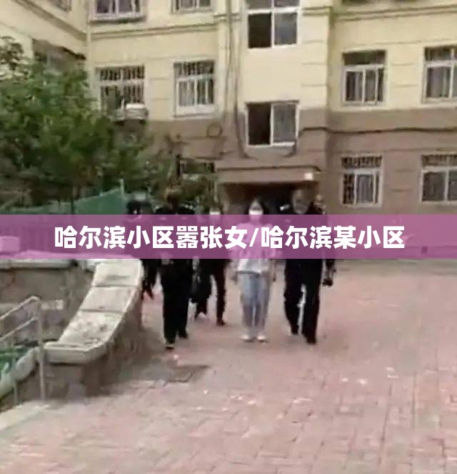 哈尔滨小区嚣张女/哈尔滨某小区