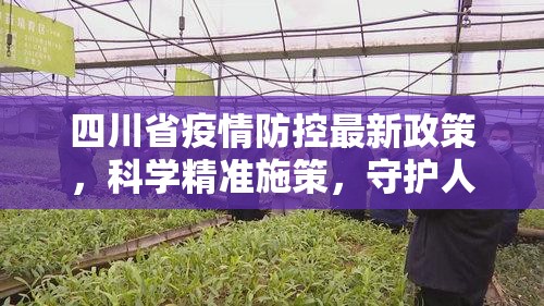 四川省疫情防控最新政策，科学精准施策，守护人民健康