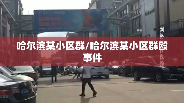 哈尔滨某小区群/哈尔滨某小区群殴事件