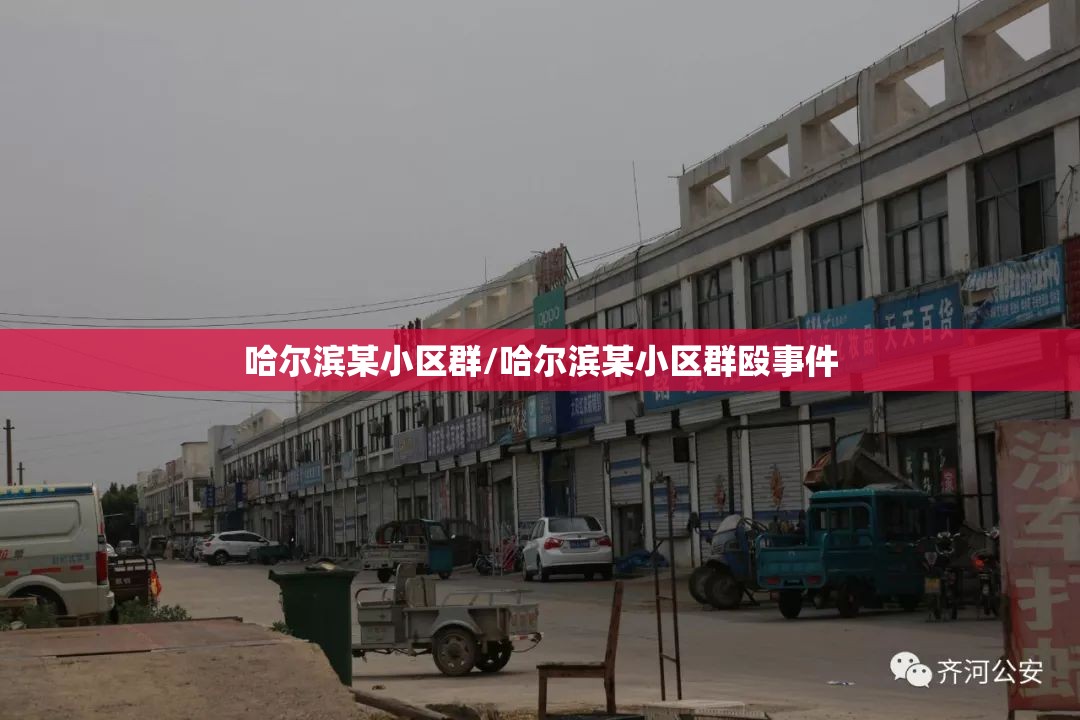 哈尔滨某小区群/哈尔滨某小区群殴事件