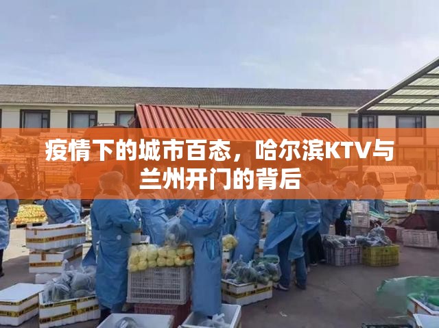 疫情下的城市百态，哈尔滨KTV与兰州开门的背后