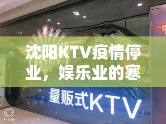 沈阳KTV疫情停业，娱乐业的寒冬与转型之路