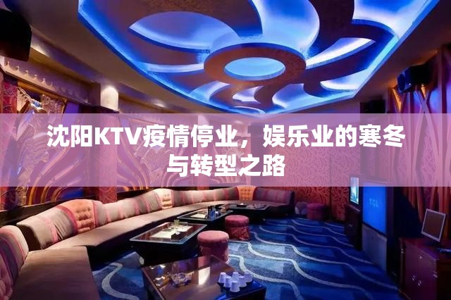 沈阳KTV疫情停业，娱乐业的寒冬与转型之路