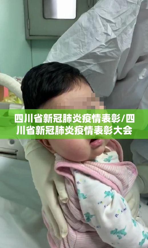 四川省新冠肺炎疫情表彰/四川省新冠肺炎疫情表彰大会