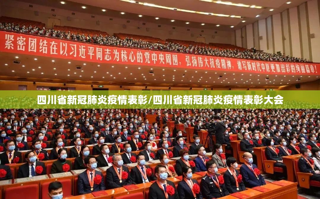 四川省新冠肺炎疫情表彰/四川省新冠肺炎疫情表彰大会