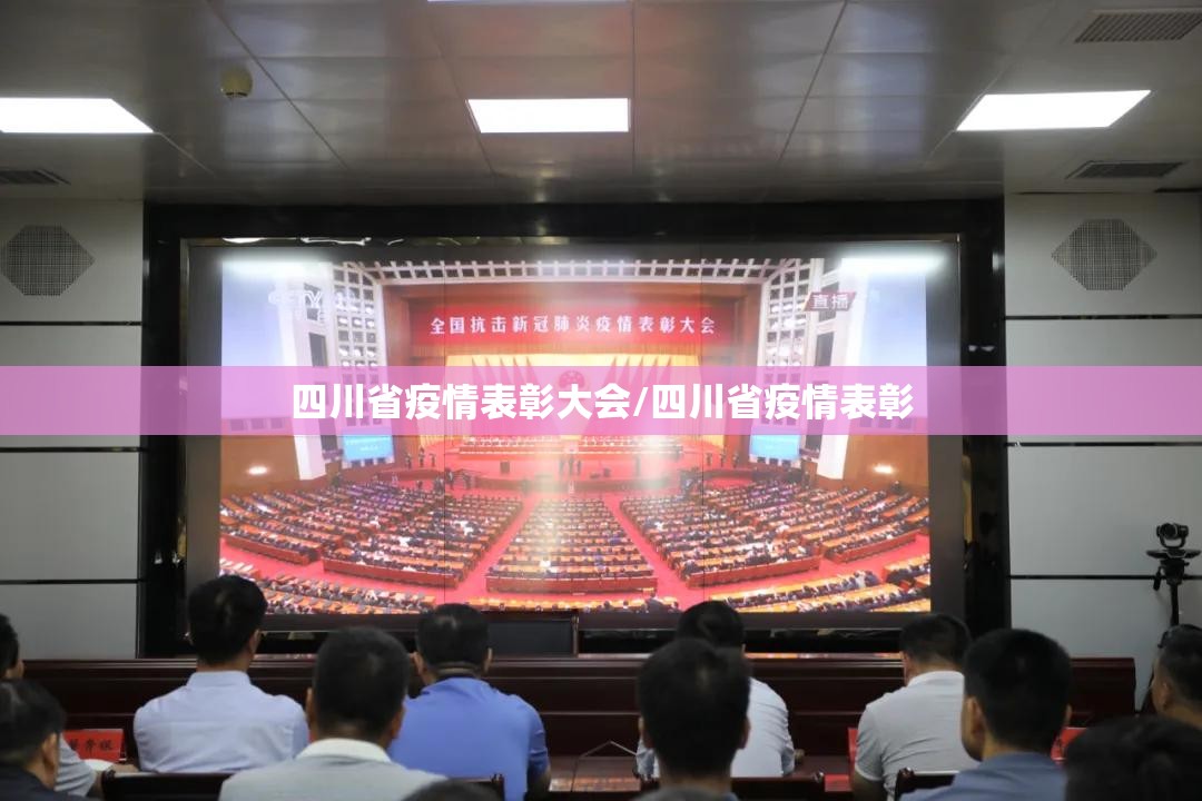 四川省疫情表彰大会/四川省疫情表彰
