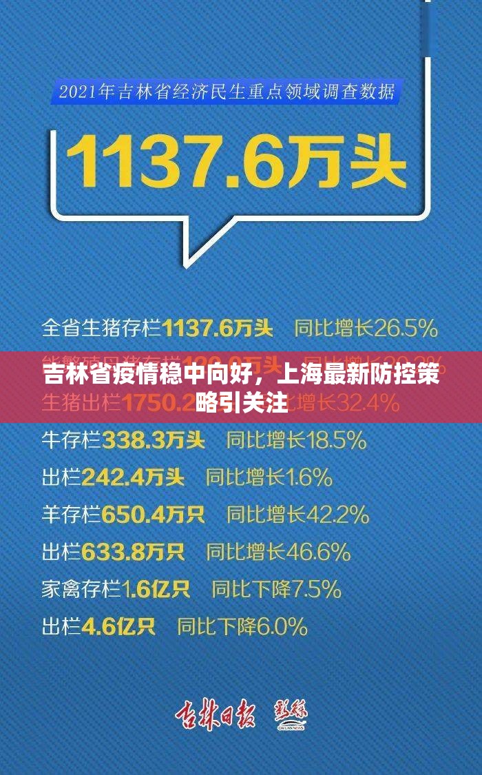 吉林省疫情稳中向好，上海最新防控策略引关注