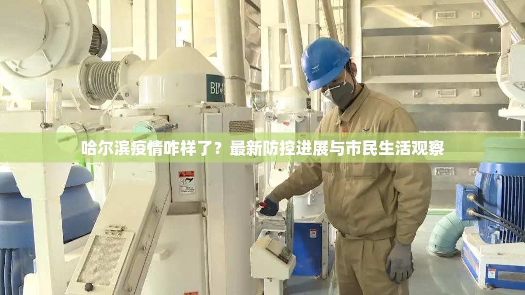 哈尔滨疫情咋样了？最新防控进展与市民生活观察