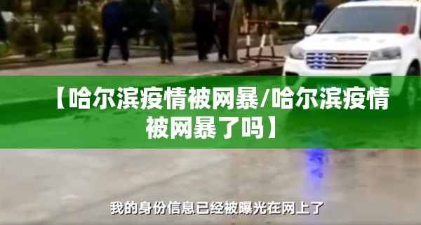 【哈尔滨疫情被网暴/哈尔滨疫情被网暴了吗】