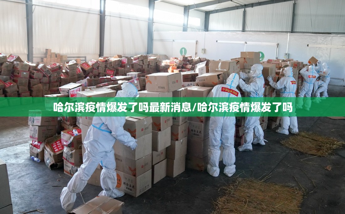 哈尔滨疫情爆发了吗最新消息/哈尔滨疫情爆发了吗