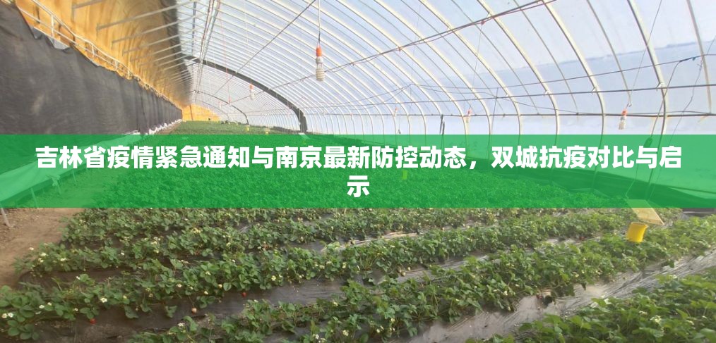 吉林省疫情紧急通知与南京最新防控动态，双城抗疫对比与启示