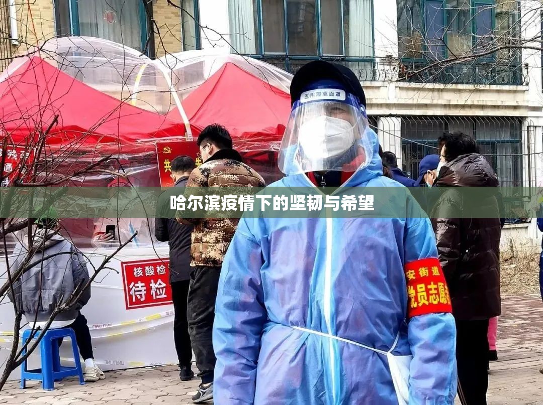 哈尔滨疫情下的坚韧与希望