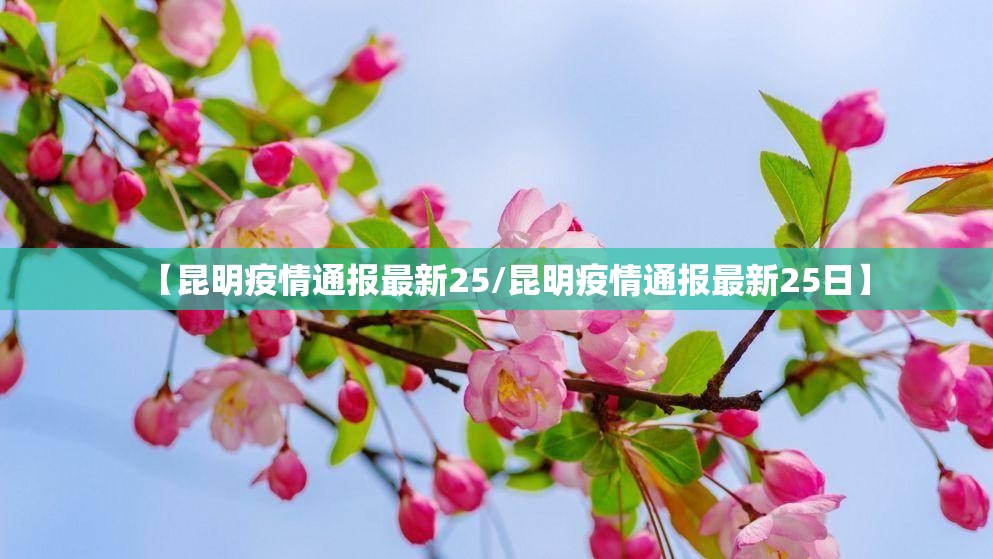 【昆明疫情通报最新25/昆明疫情通报最新25日】