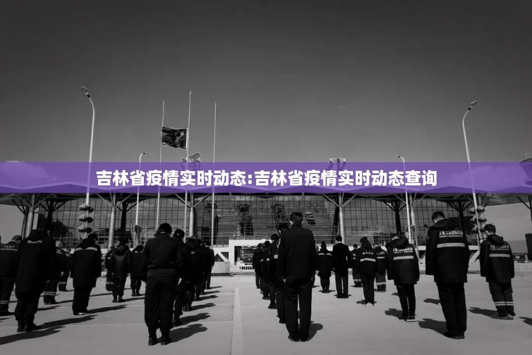 吉林省疫情实时动态:吉林省疫情实时动态查询