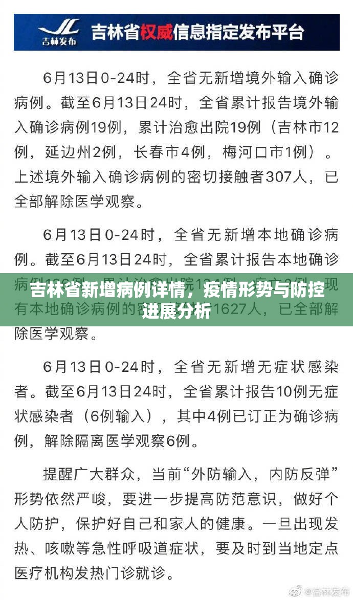 吉林省新增病例详情，疫情形势与防控进展分析