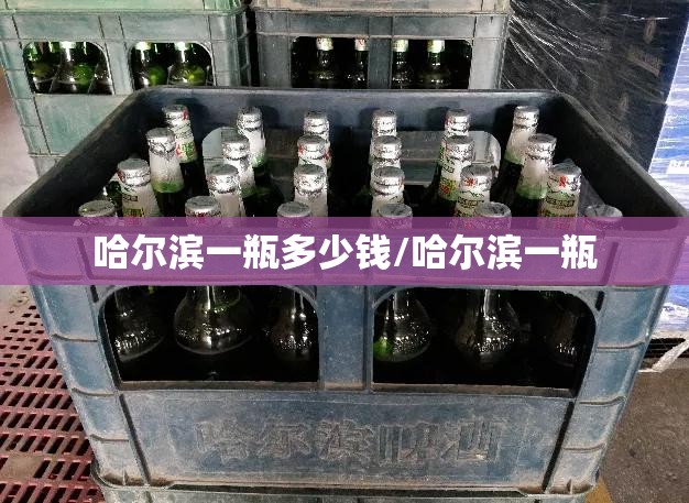 哈尔滨一瓶多少钱/哈尔滨一瓶