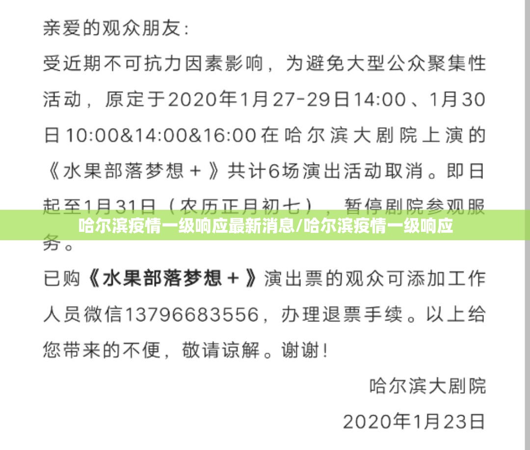 哈尔滨疫情一级响应最新消息/哈尔滨疫情一级响应
