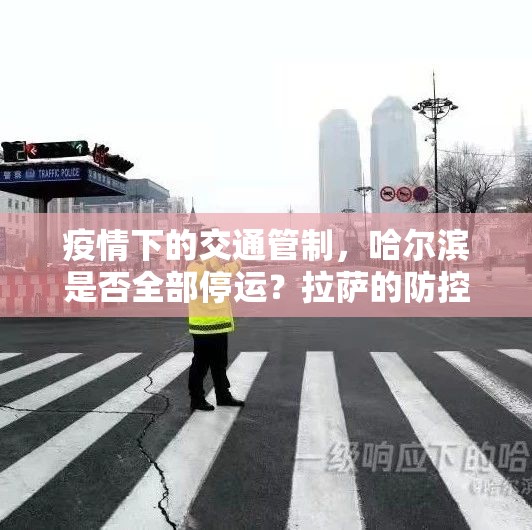 疫情下的交通管制，哈尔滨是否全部停运？拉萨的防控现状如何？