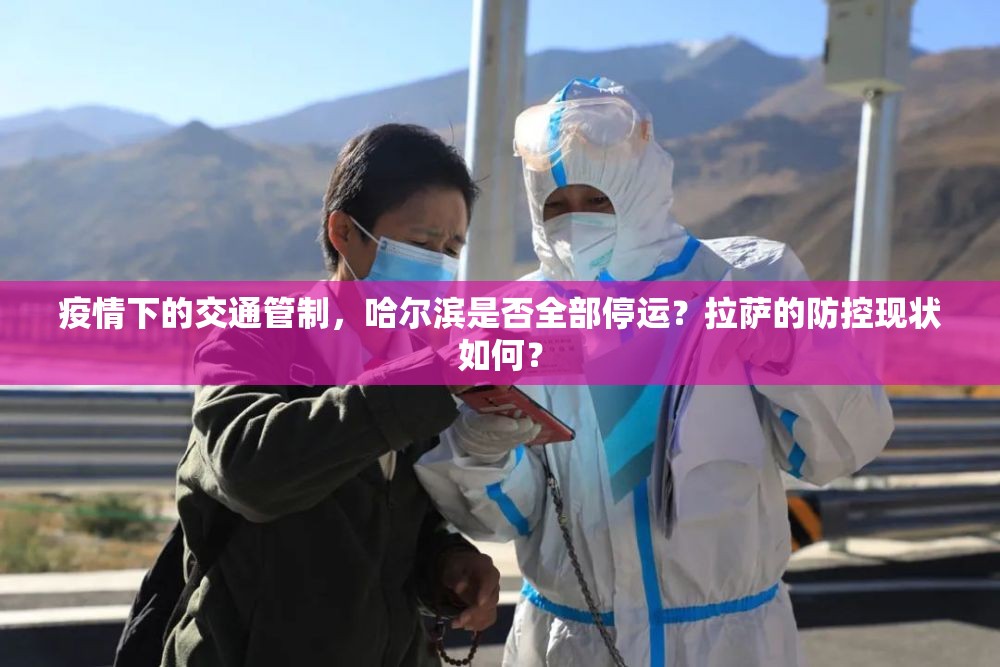 疫情下的交通管制，哈尔滨是否全部停运？拉萨的防控现状如何？