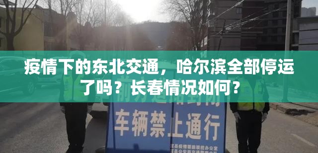 疫情下的东北交通，哈尔滨全部停运了吗？长春情况如何？