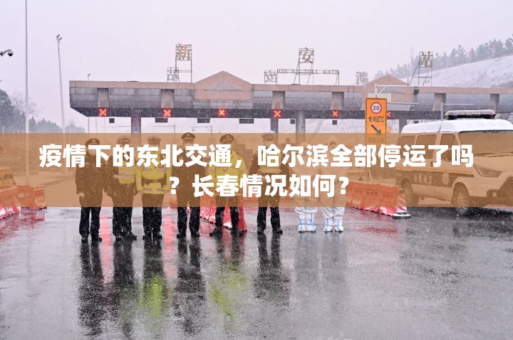 疫情下的东北交通，哈尔滨全部停运了吗？长春情况如何？