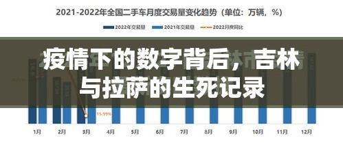 疫情下的数字背后，吉林与拉萨的生死记录
