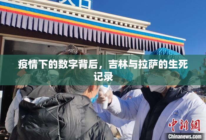疫情下的数字背后，吉林与拉萨的生死记录