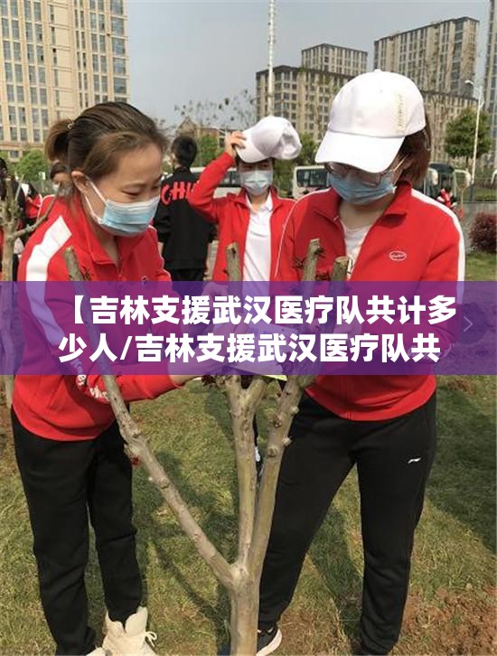 【吉林支援武汉医疗队共计多少人/吉林支援武汉医疗队共计多少人员】