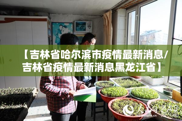 【吉林省哈尔滨市疫情最新消息/吉林省疫情最新消息黑龙江省】