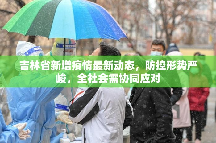 吉林省新增疫情最新动态，防控形势严峻，全社会需协同应对