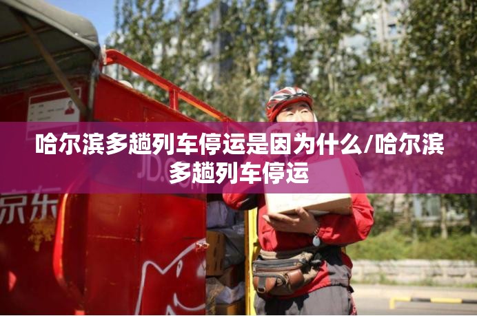 哈尔滨多趟列车停运是因为什么/哈尔滨多趟列车停运