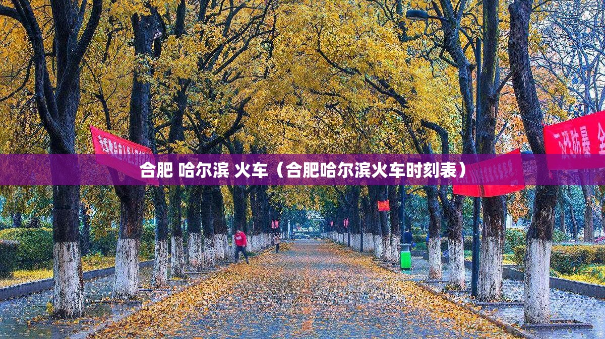 合肥 哈尔滨 火车（合肥哈尔滨火车时刻表）