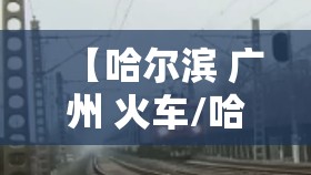 【哈尔滨 广州 火车/哈尔滨广州火车时刻表】