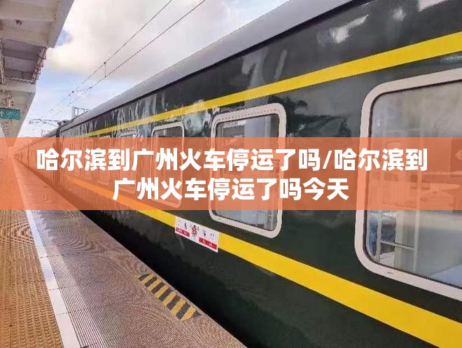 哈尔滨到广州火车停运了吗/哈尔滨到广州火车停运了吗今天