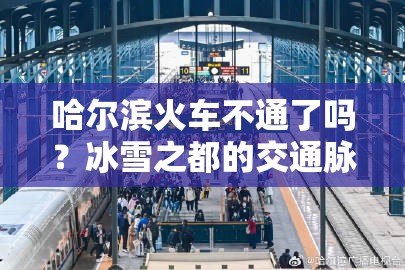 哈尔滨火车不通了吗？冰雪之都的交通脉搏依然强劲