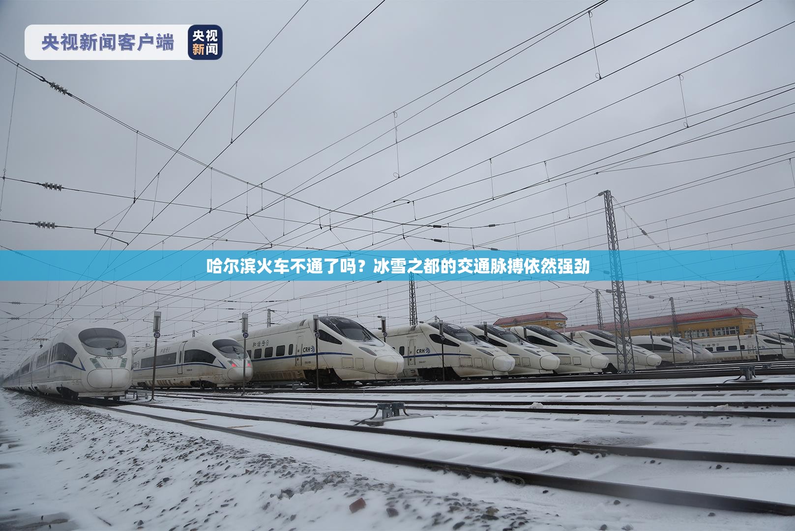 哈尔滨火车不通了吗？冰雪之都的交通脉搏依然强劲