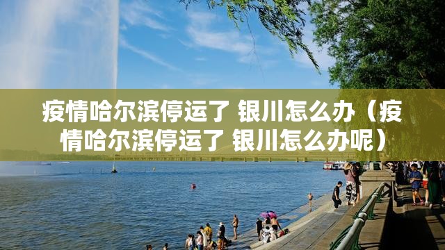 疫情哈尔滨停运了 银川怎么办（疫情哈尔滨停运了 银川怎么办呢）