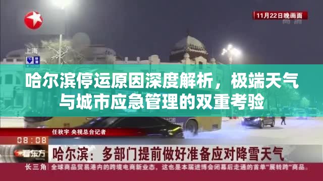 哈尔滨停运原因深度解析，极端天气与城市应急管理的双重考验