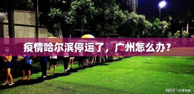 疫情哈尔滨停运了，广州怎么办？