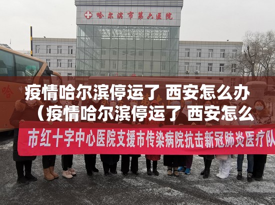 疫情哈尔滨停运了 西安怎么办（疫情哈尔滨停运了 西安怎么办呢）