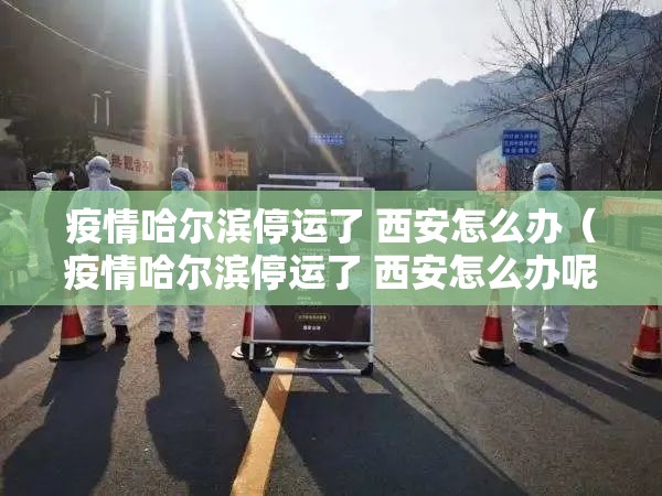 疫情哈尔滨停运了 西安怎么办（疫情哈尔滨停运了 西安怎么办呢）