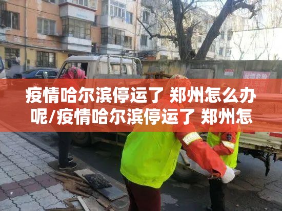 疫情哈尔滨停运了 郑州怎么办呢/疫情哈尔滨停运了 郑州怎么办