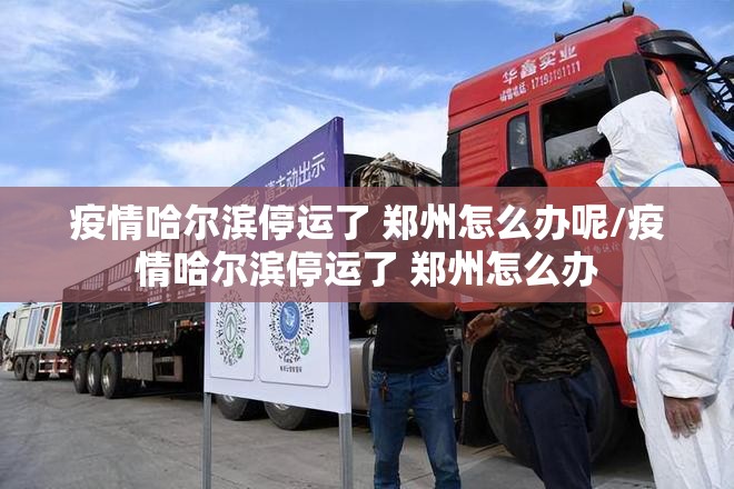 疫情哈尔滨停运了 郑州怎么办呢/疫情哈尔滨停运了 郑州怎么办