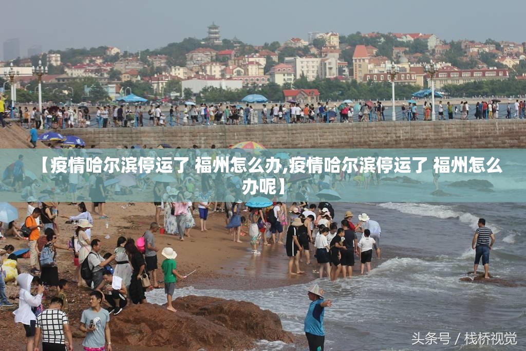 【疫情哈尔滨停运了 福州怎么办,疫情哈尔滨停运了 福州怎么办呢】