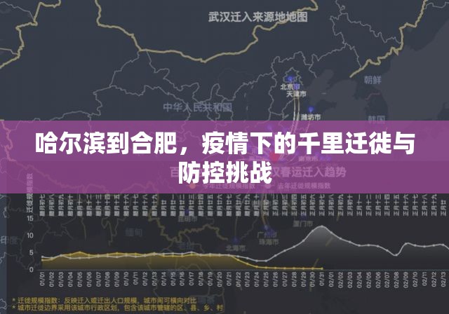 哈尔滨到合肥，疫情下的千里迁徙与防控挑战